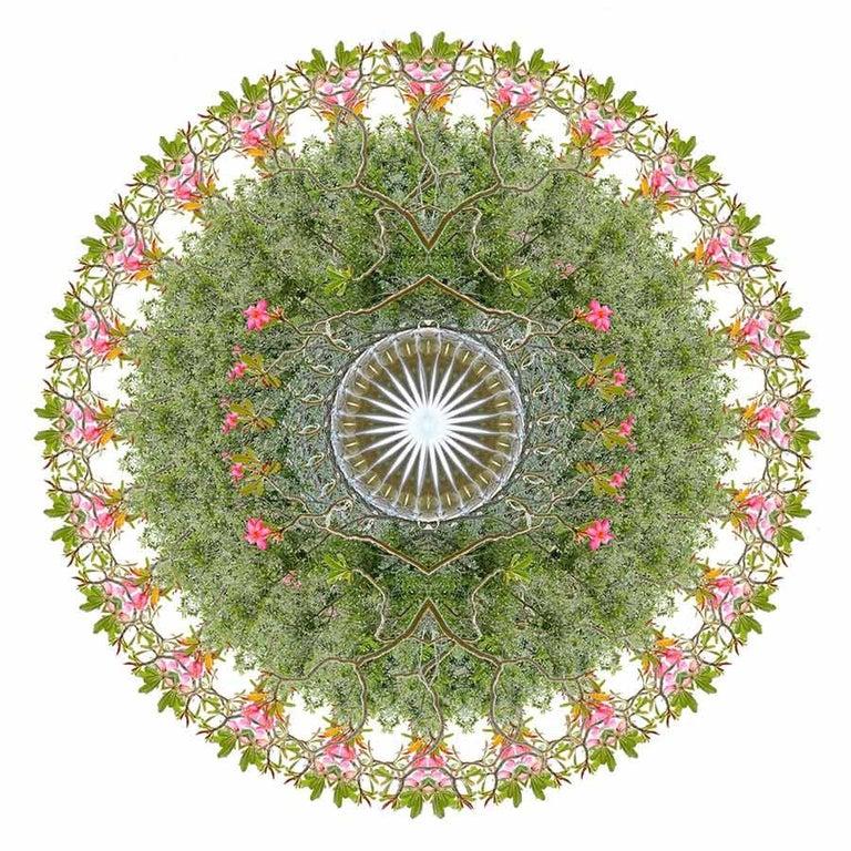 GARDEN MANDALA 1 Soft Pink Yellow Flowers Abstract Digital Photograph Yuri Tuma 3