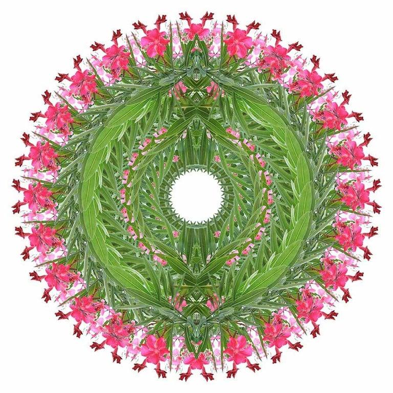 GARDEN MANDALA 6 Pink Flower Abstract Photograph Yuri Tuma  2