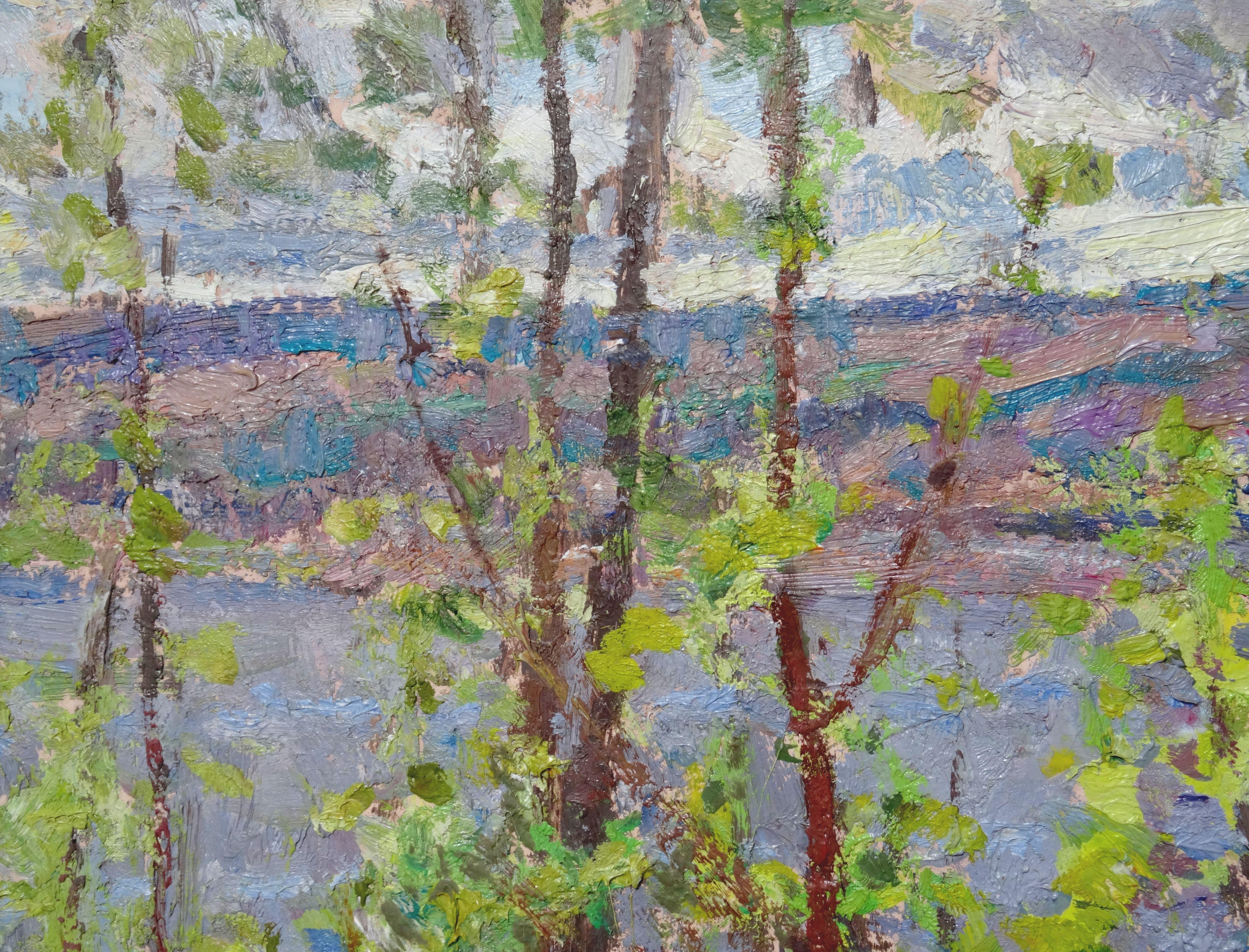 The greens are blooming. Cardboard, oil, 48x67 cm - Impressionist Painting by Yuriy Zvyozdkin