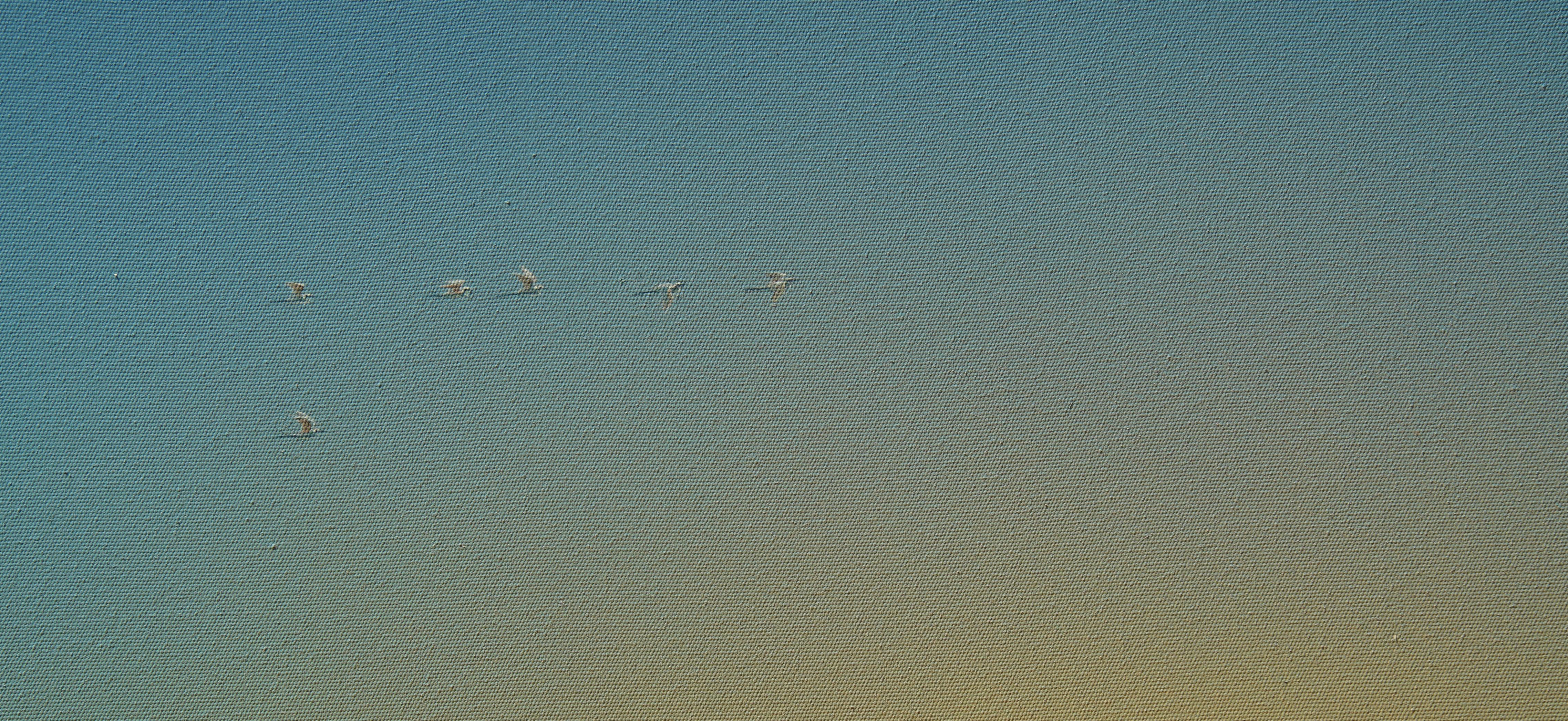 Dreamscape V70.Wasserlandschaft.Minimalismus.Tranquil-Szenery Serenity Peace 2
