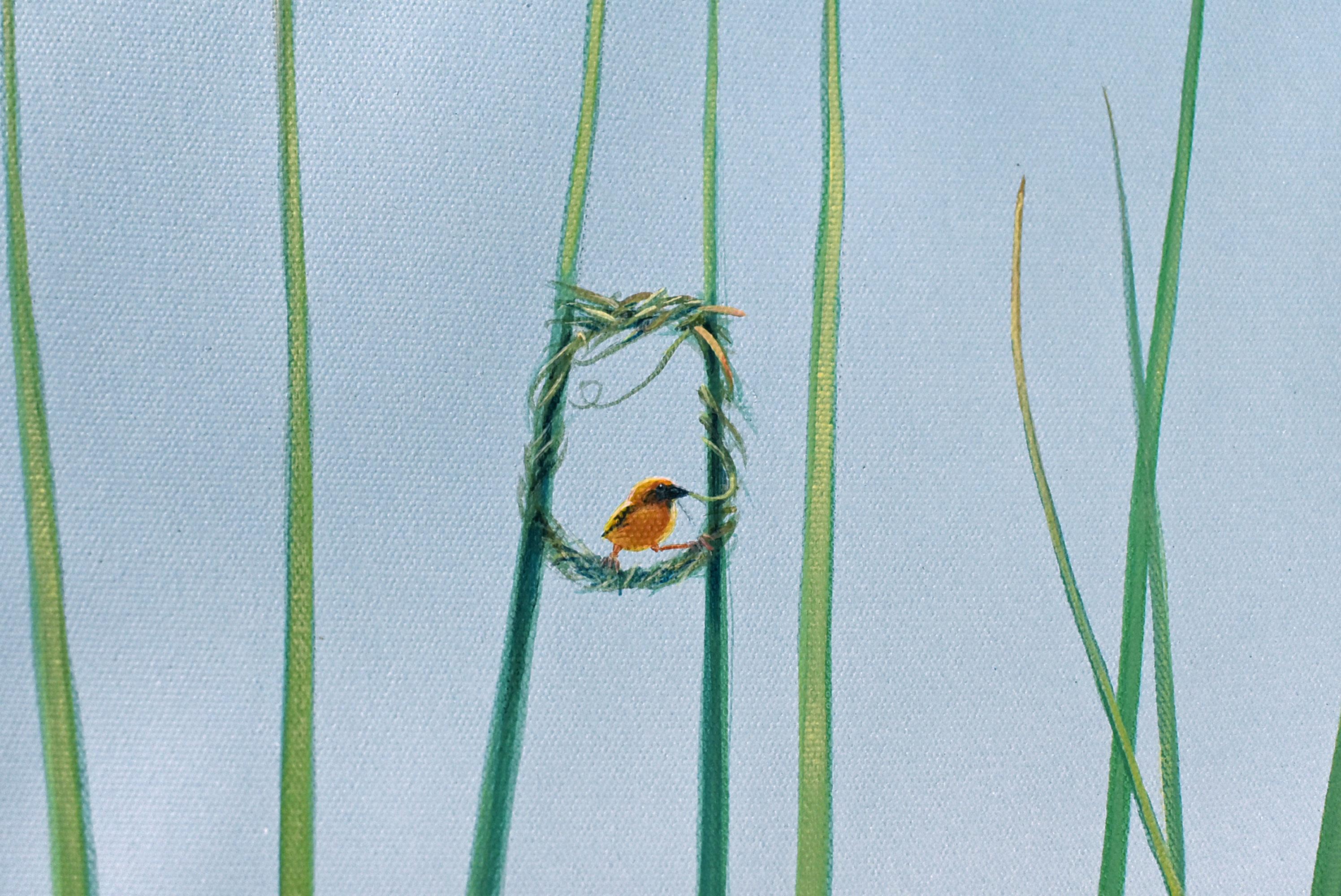 Dreamscape V73 bird building nest 1