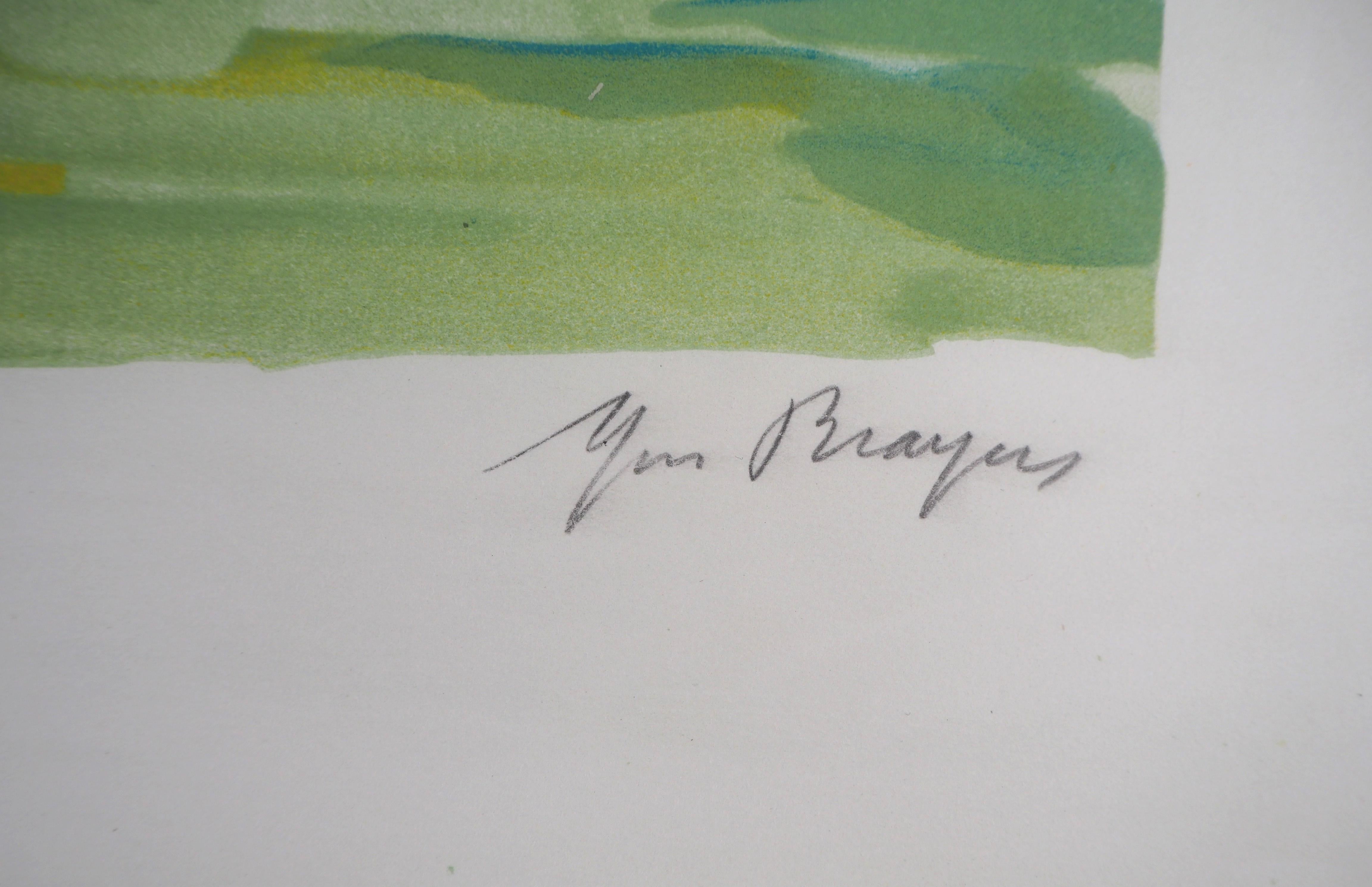 harold brayer