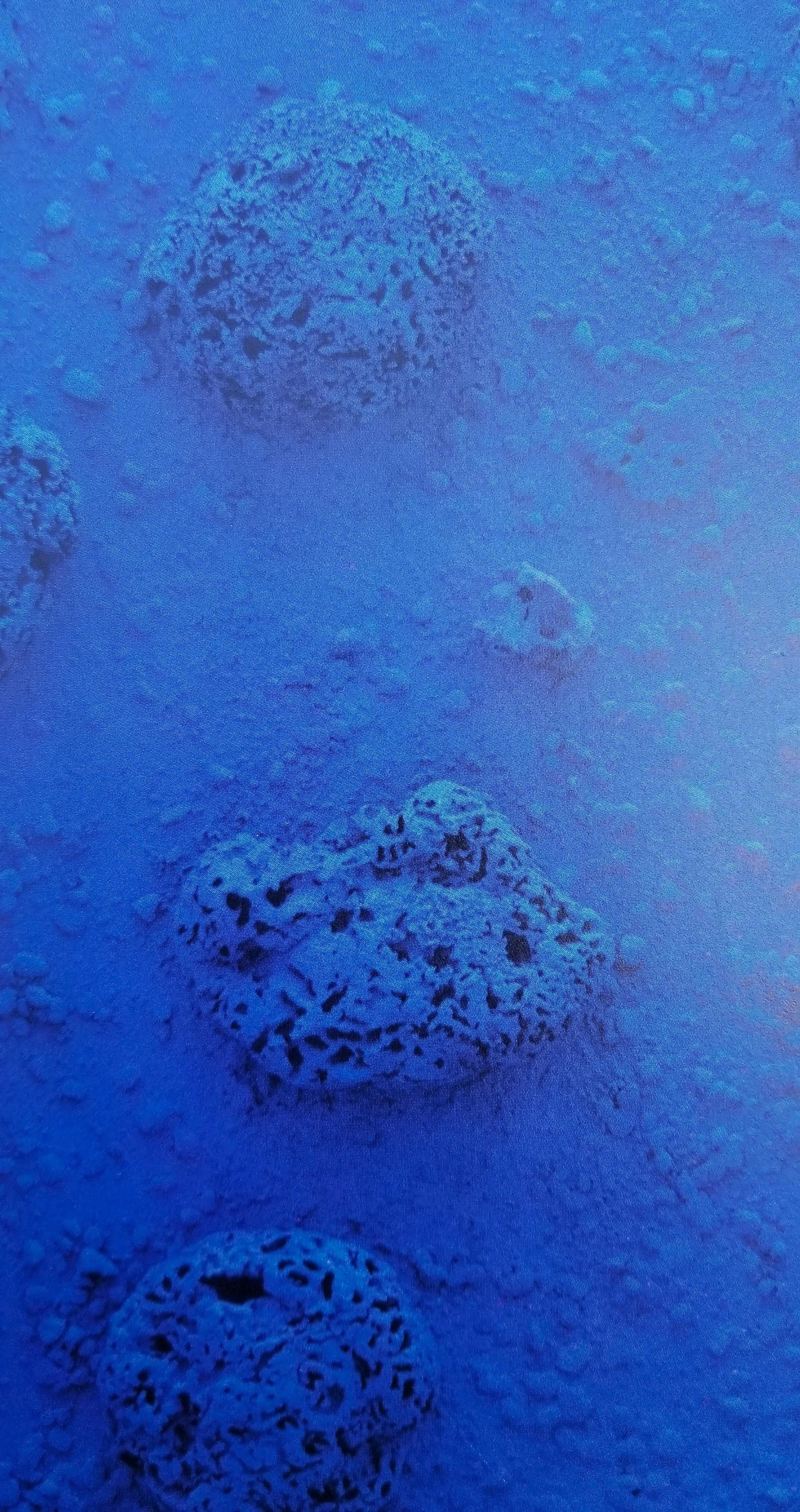 Yves Klein: A Retrospective (Requiem RE 20) Poster /// Yves Klein Modern Blue For Sale 13