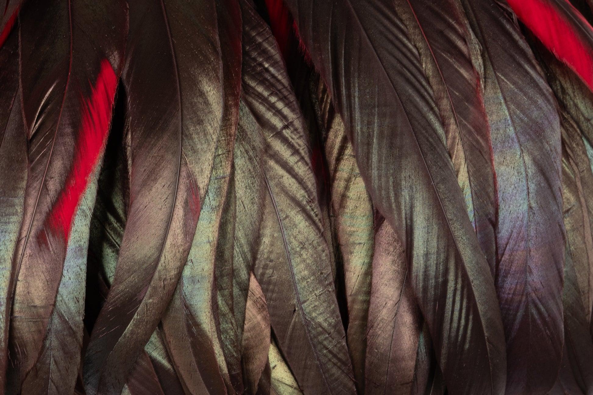 Yves Saint Lauren Made of Rooster Feathers Collar For Sale 2