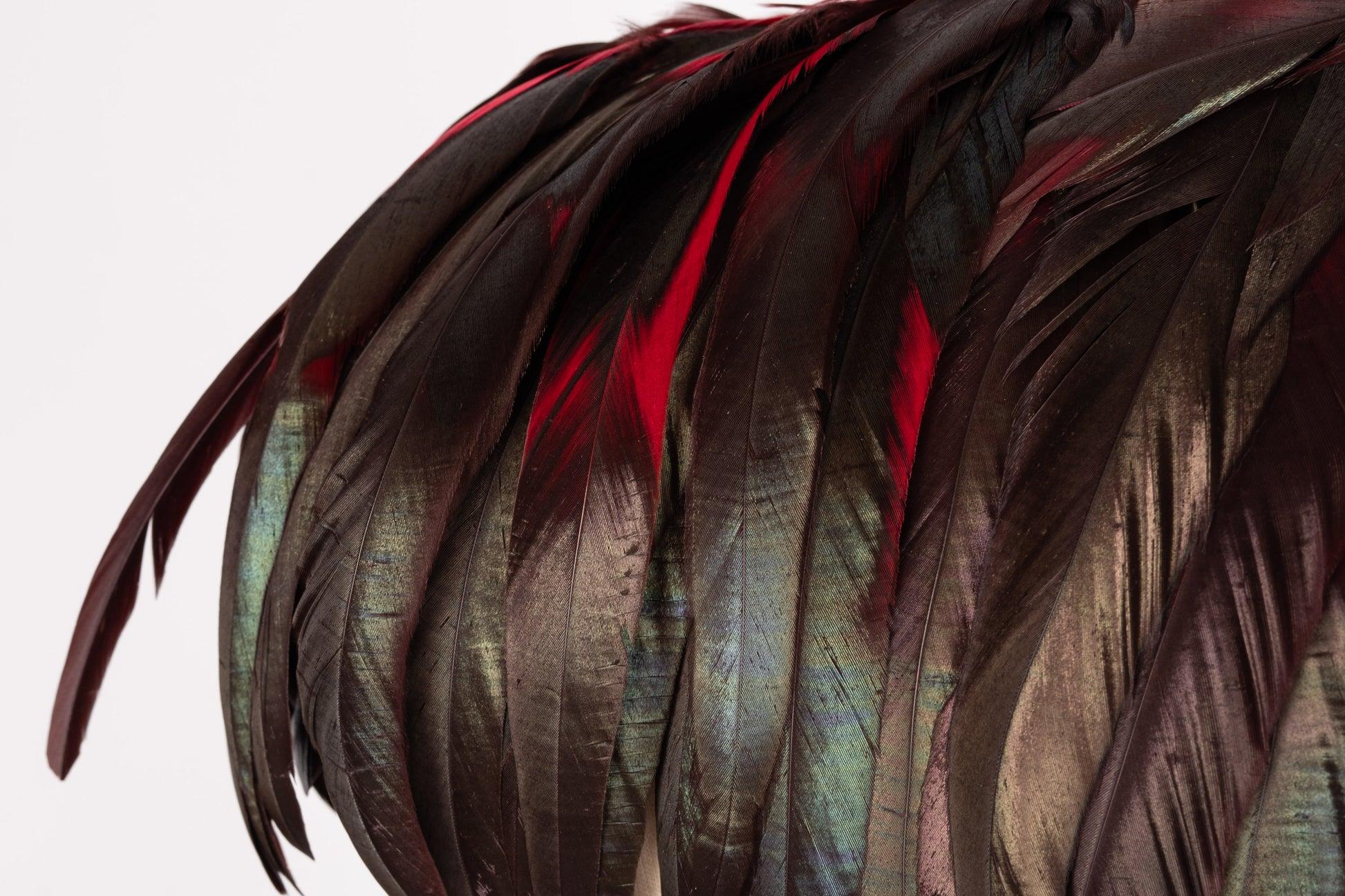 Yves Saint Lauren Made of Rooster Feathers Collar For Sale 4