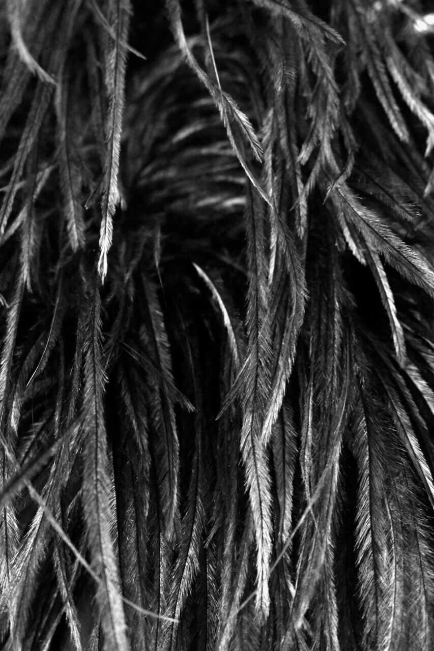 Yves Saint Laurent Black Ostrich Feather Chiffon Wrap Blouse, circa 1969 4