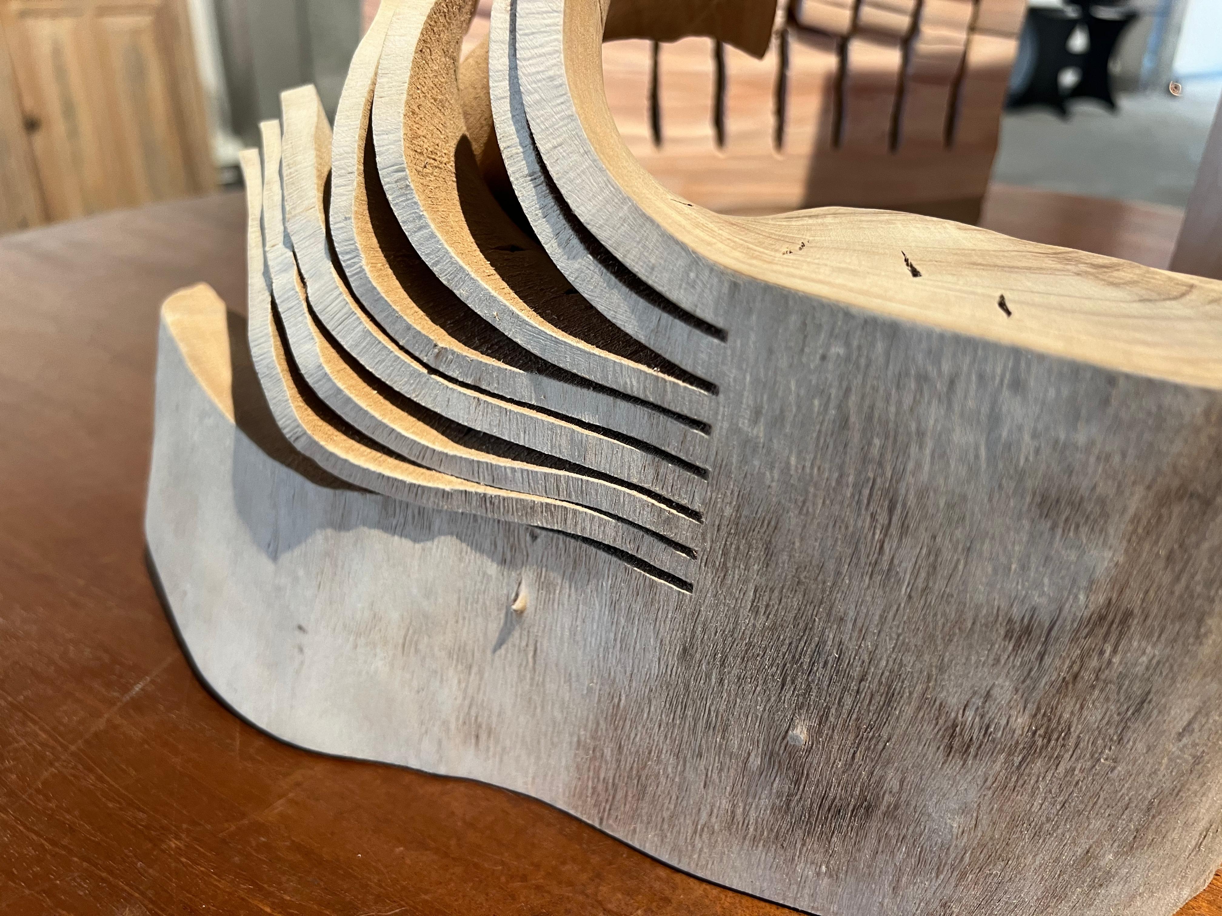 Sculpture constructiviste faite à la main, sabot d'animal, ondulations et ombres 1