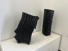 Bunt gebeiztes und geschliffenes Holz, verwüstete, volle und leere Formen, geschwärzter Eukalyptus n2