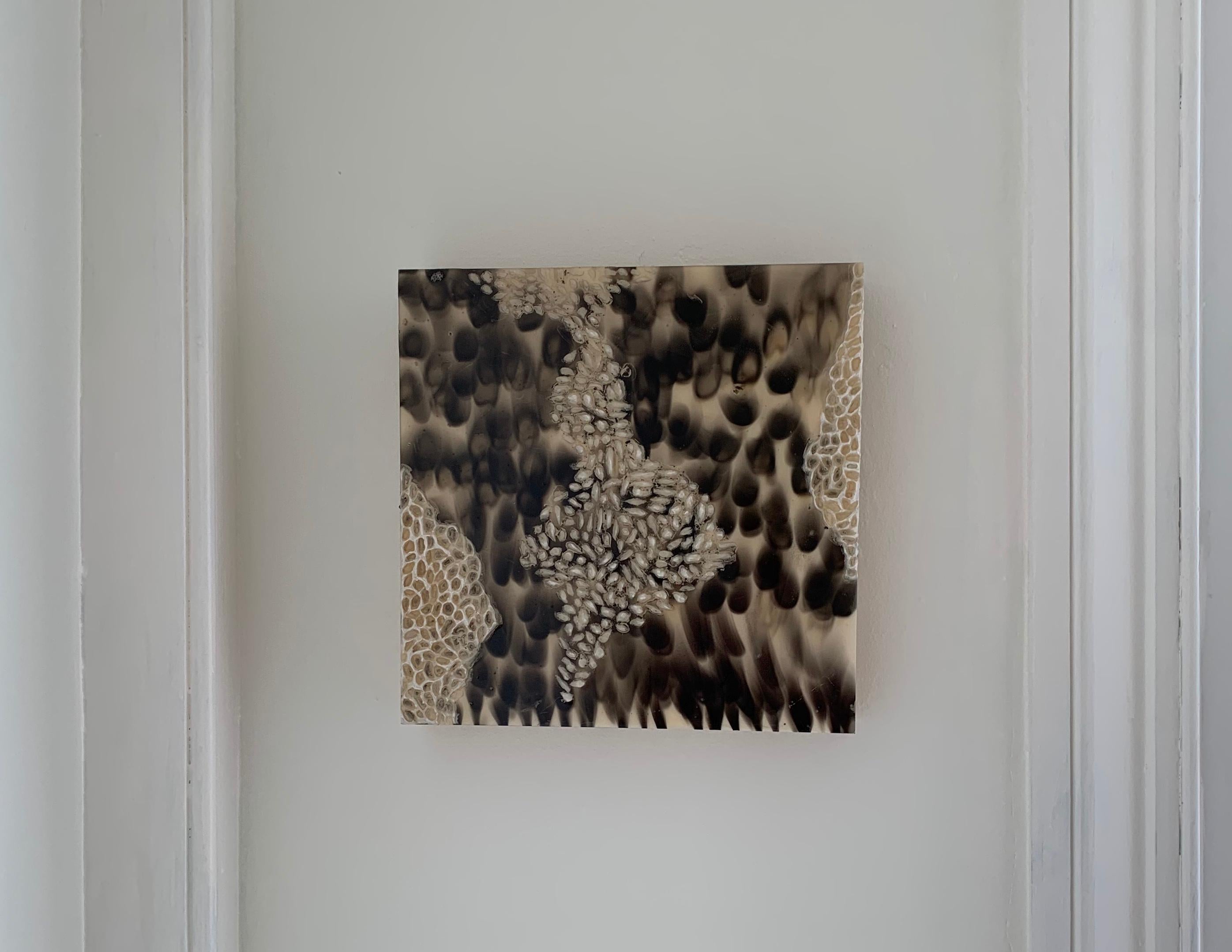 Yvonne Love, Wurzelholzmalerei, 2014 im Angebot 1