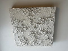 Alluvial Plain