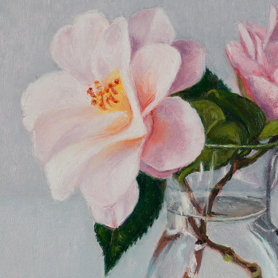 Camelias de mi jardín II