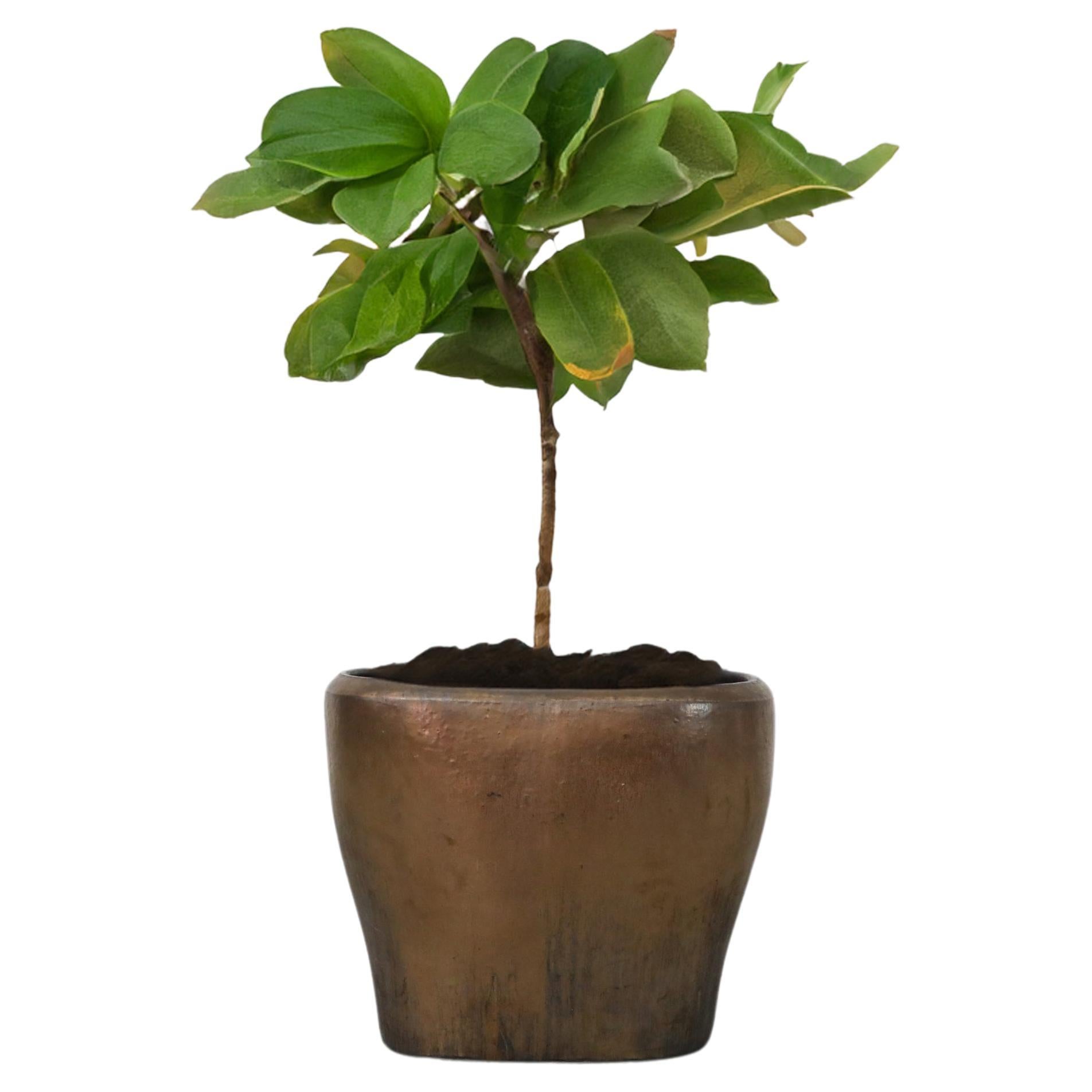 Zaalberg Attributed Extra Large Bronze Glazed Ceramic Floor Planter
