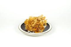 Zaalberg plate abstract style