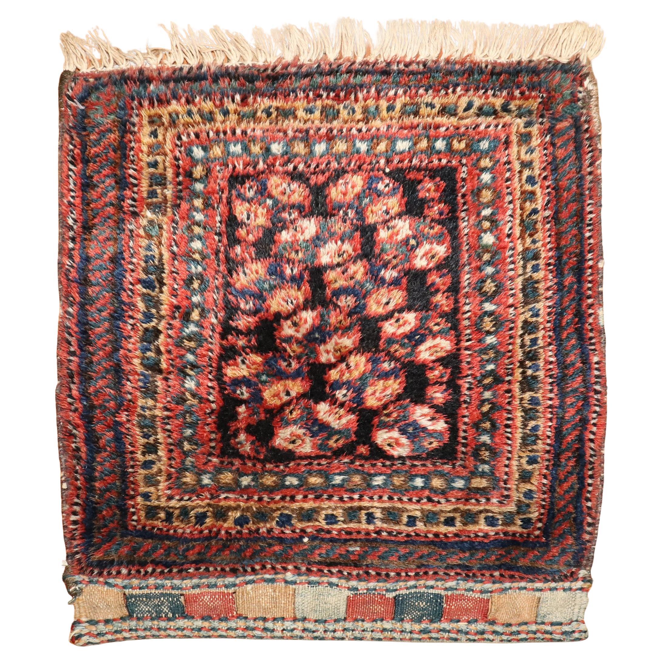 Zabihi Collection 20h Century Persian Kurd Bagface Rug