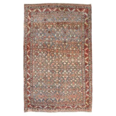 Zabihi Collection Antique Bidjar Rug
