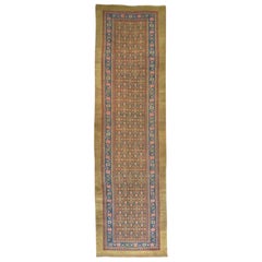 More Carpets