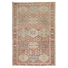 Zabihi Collection Vintage Garden Design Persian Bakhtiari Rug