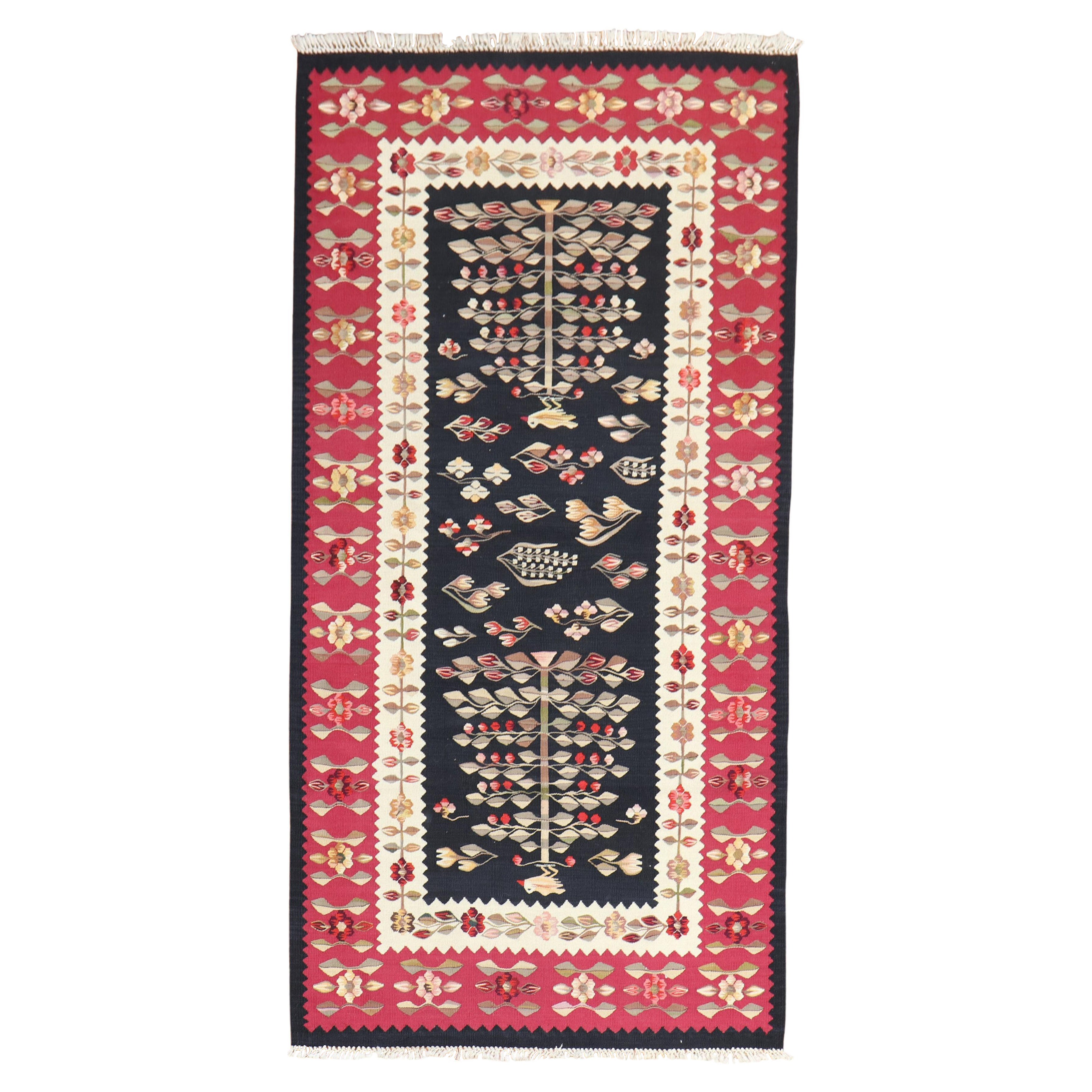 Zabihi Collection kilim bessarabiano