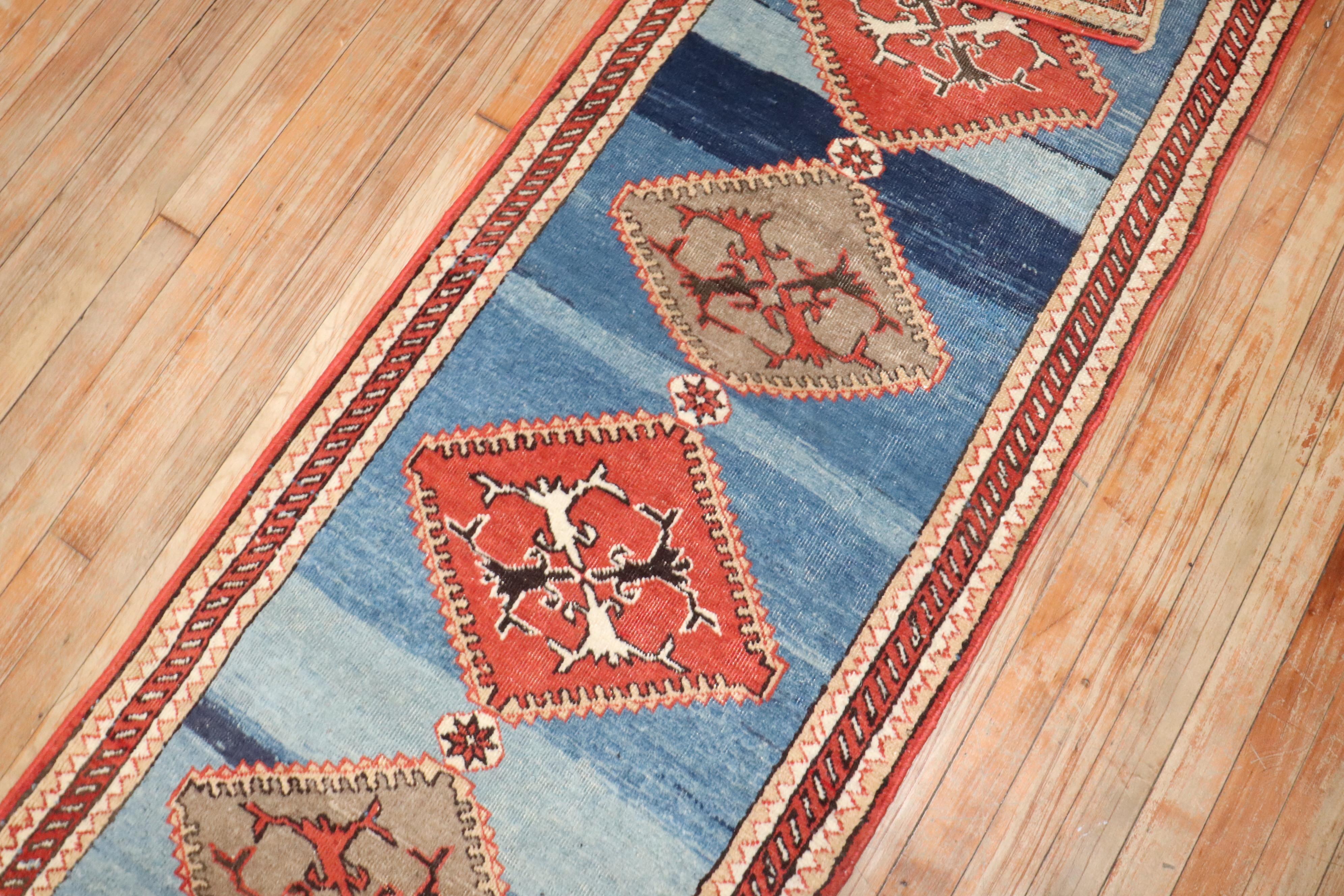 an early 20th Century Tribal Northwest Persian High Decorative Runner

Measures: 2'4