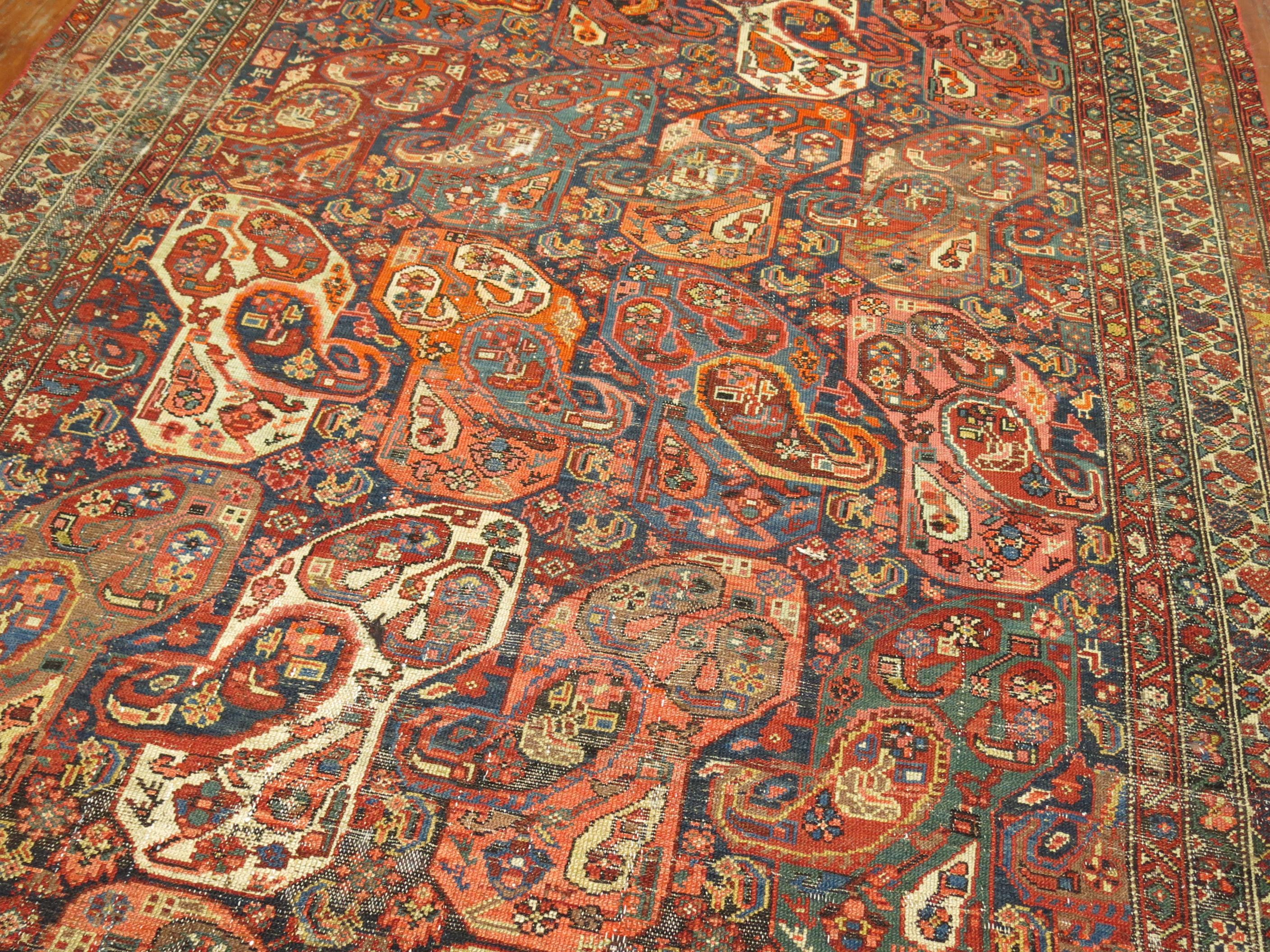Zabihi Collection Northwest Persian Corridor Carpet (Stammeskunst) im Angebot