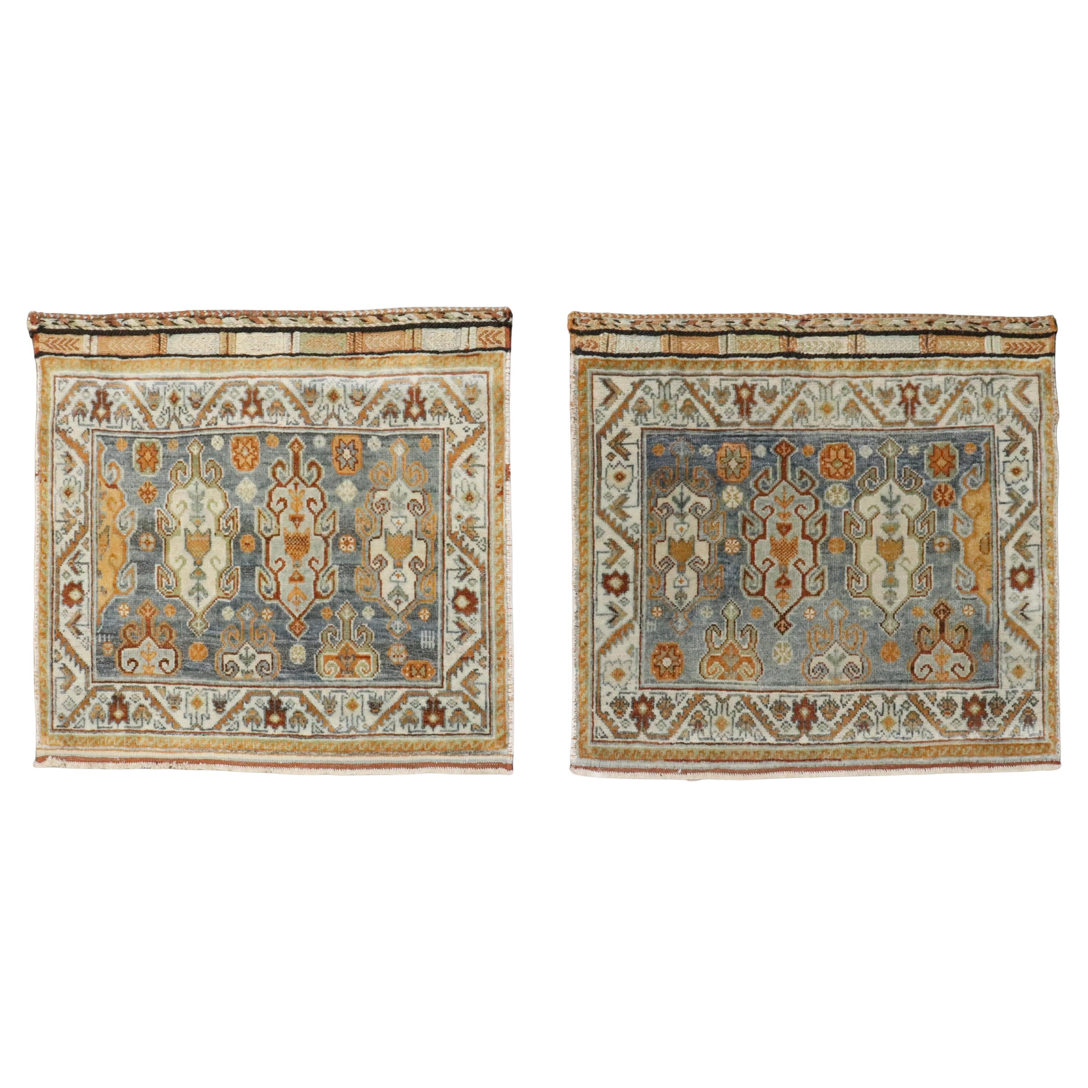 Collection Zabihi Paire de tapis Afshar persans anciens