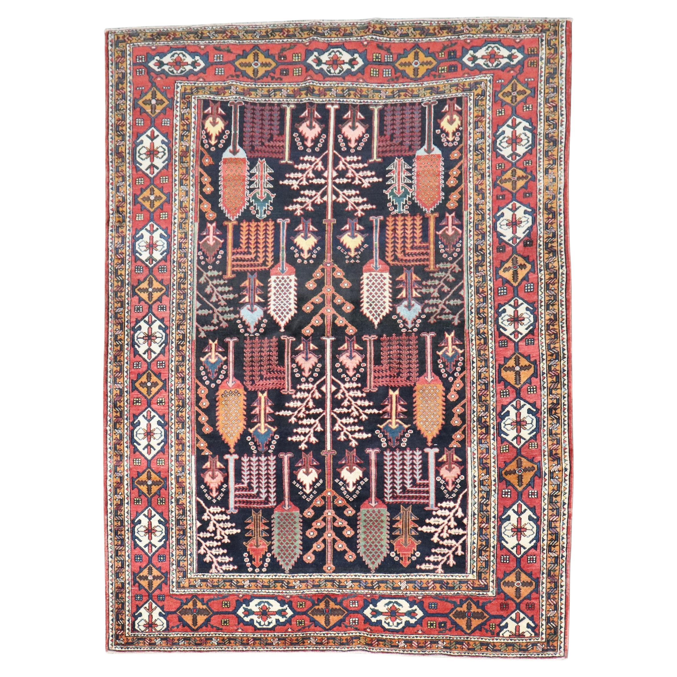 Serapi Tapis et tapisseries
