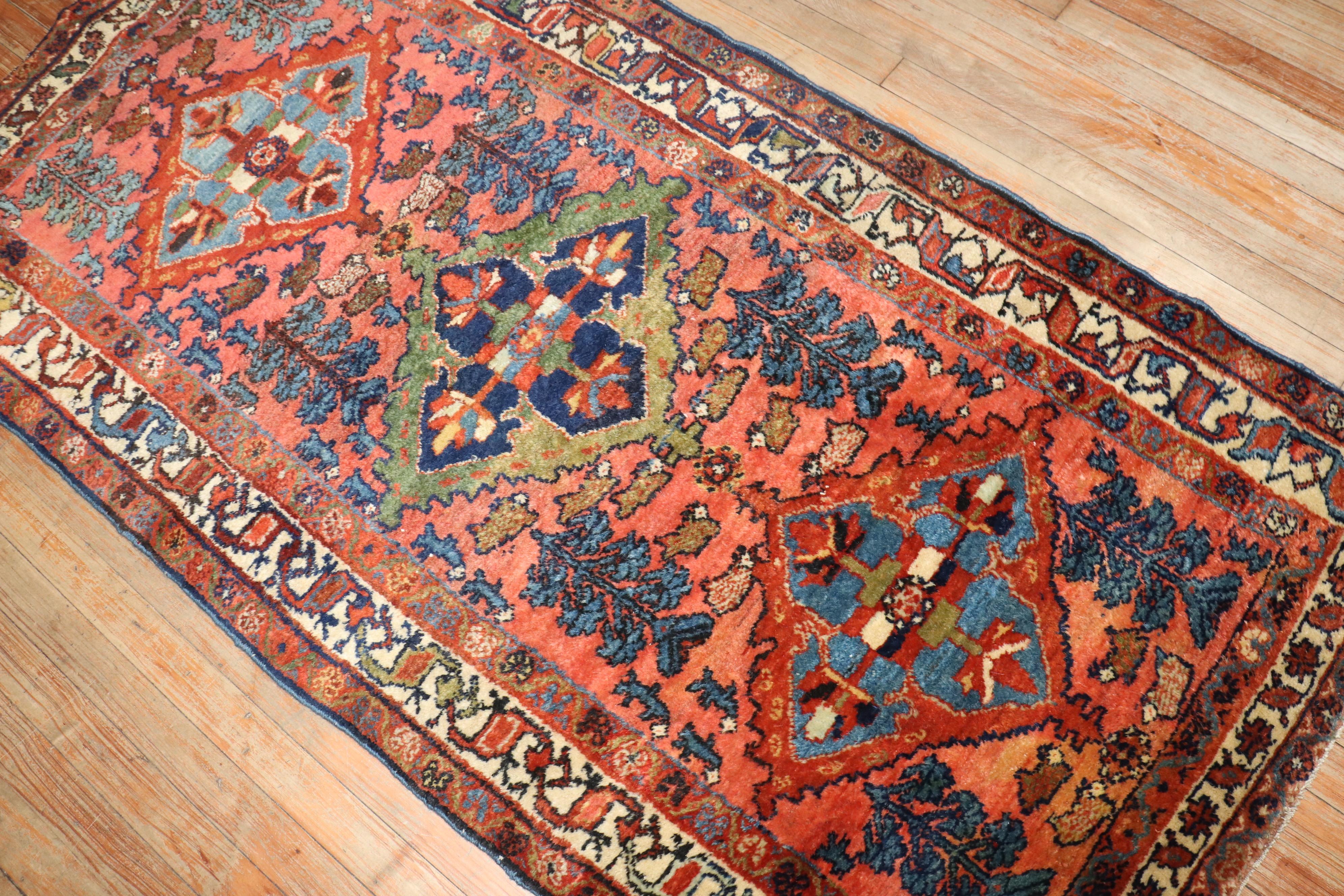 One of a kind Persian Hamedan  rug from the 20th century .

Measures: 3'1” x 6'2”.