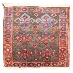 Zabihi Collection Persian Kurd Mini Brown Rug