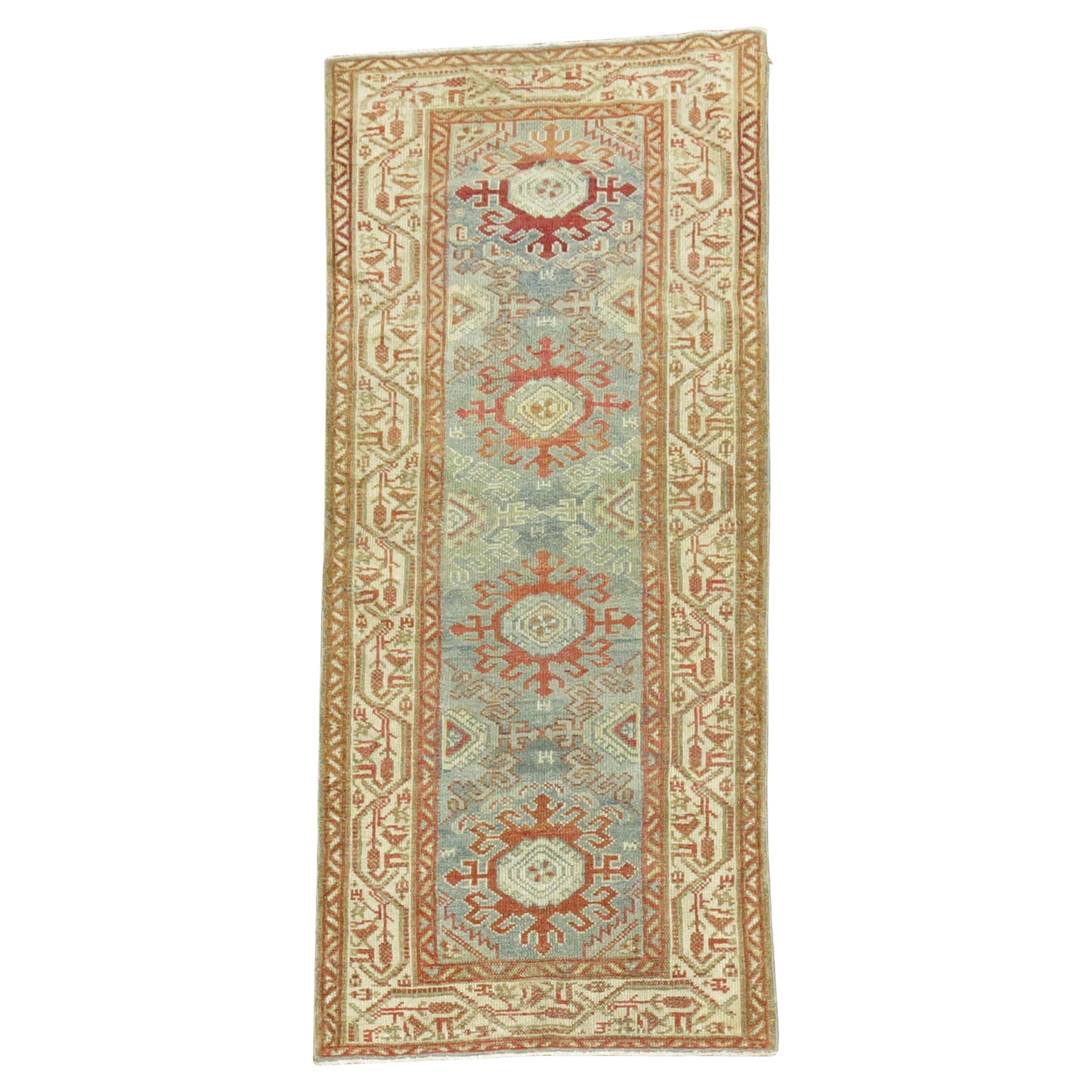 Zabihi Collection Persian Malayer Alfombra Pequeña Estrecha