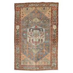 Central Asian Rugs