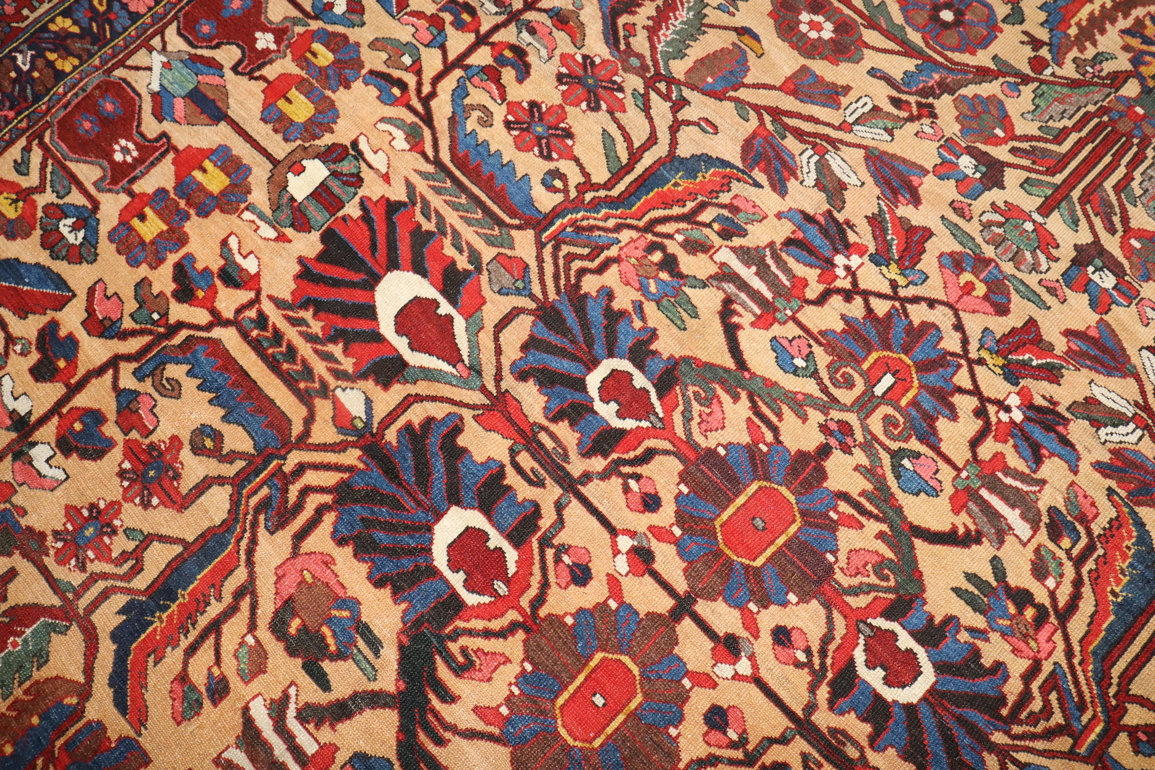 20th Century Zabihi Collection Room Size Square Antique Persian Bakhtiari  Rug For Sale