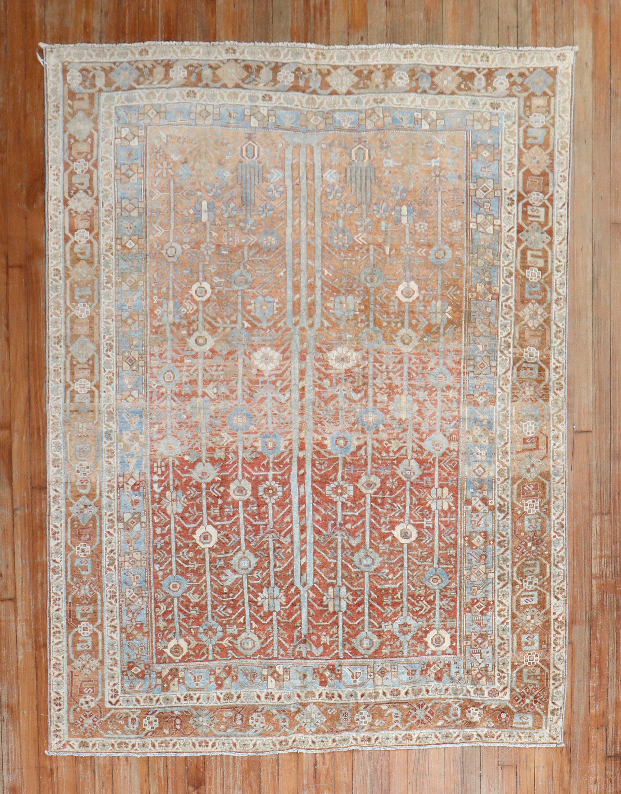 Les couleurs chaudes donnent le ton à ce tapis tribal Afshar du début du XXe siècle.

vers 1910. Mesures : 5'3