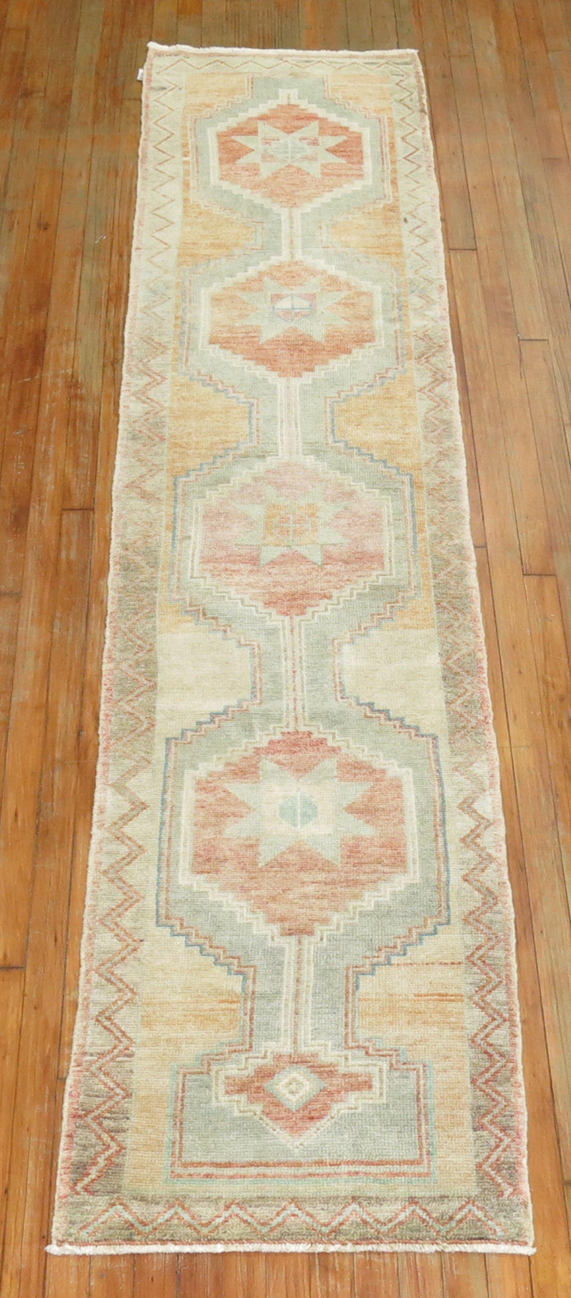 Uno stretto runner anatolico turco della metà del XX secolo in calde tonalità estive

Dettagli
rug no.	31296
dimensione	2' 2