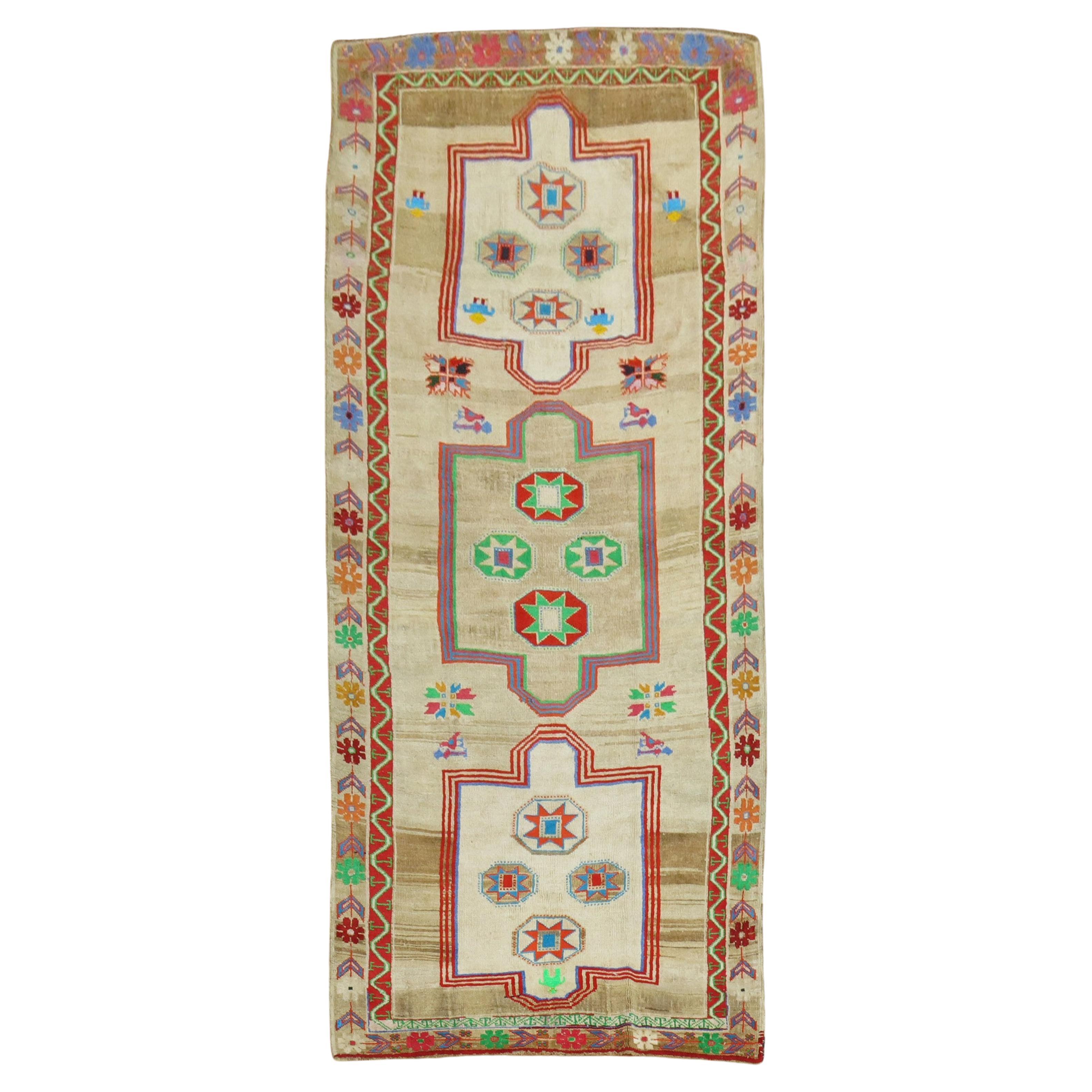 Zabihi Collection Ancho Corredor Turco Vintage Colorido