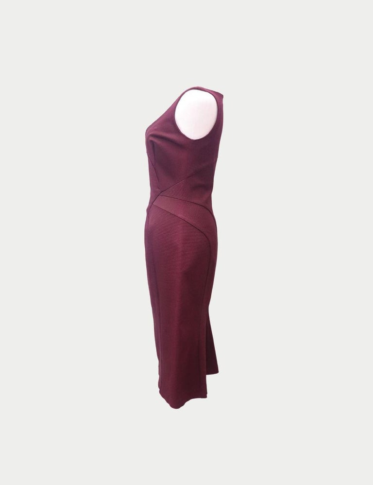zac posen burgundy dress Francesca Feather Maxi Dress main image 1