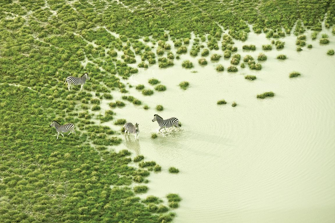 Zack Seckler Landscape Photograph – Botswana Bad