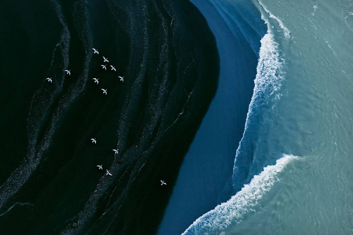 Zack Seckler Landscape Print – Flight In Flight