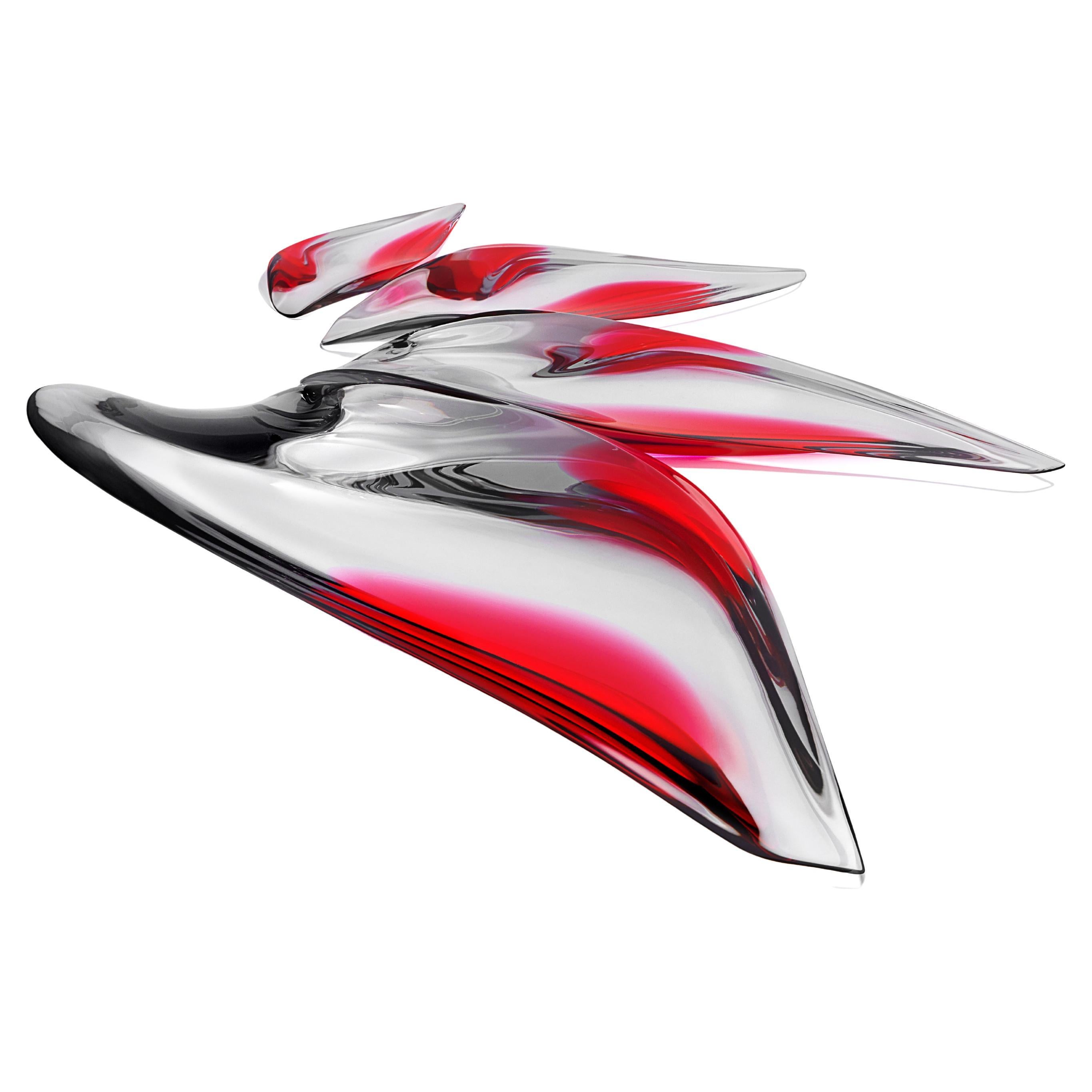 Zaha Hadid Design - Set di 4 piatti Aqua / Edizione limitata.200 - Fucsia Smoke