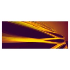 Zaha Hadid. New York Highline Printed Artwork Limited Edition 100. North Zaha Hadid. New York Highline Printed Artwork Limited Edition 100. North