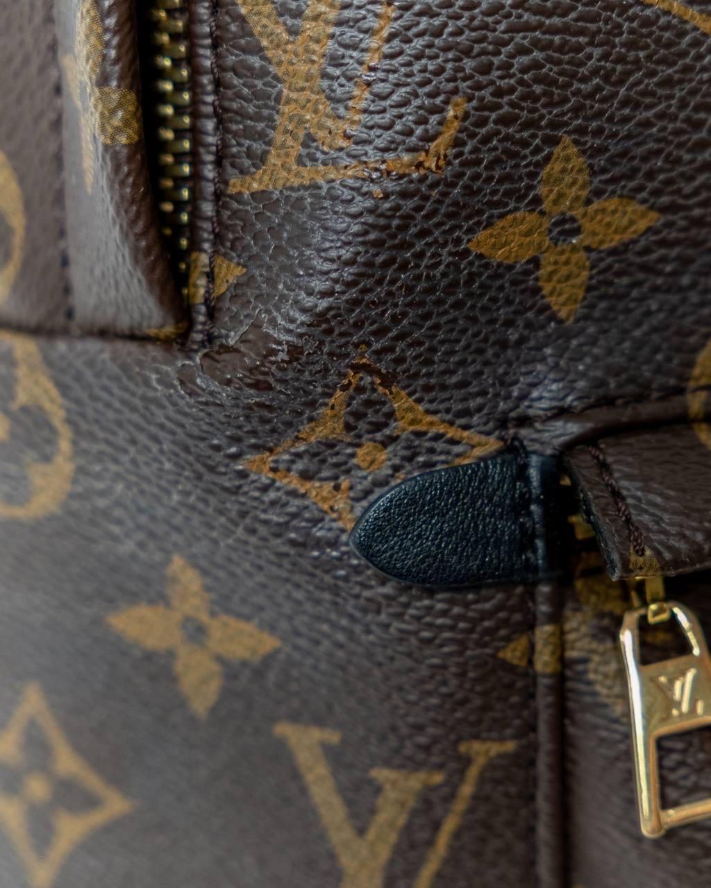Zaino Louis Vuitton Zaino Palm Springs MM Monogram 8