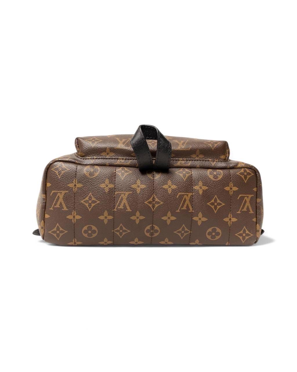 Zaino Louis Vuitton Zaino Palm Springs MM Monogram 1