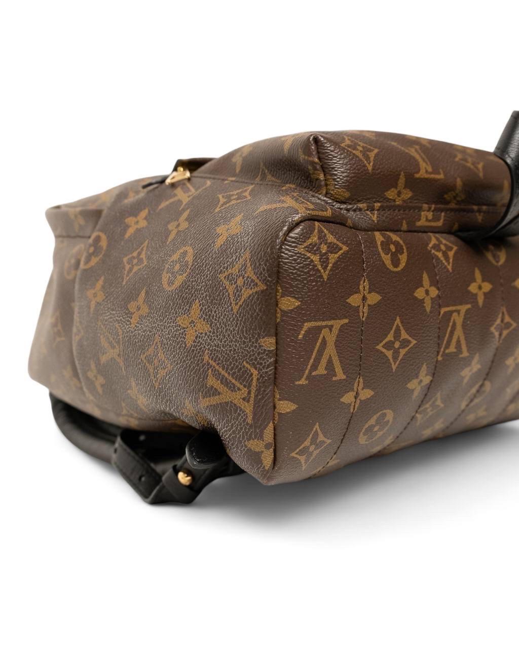 Zaino Louis Vuitton Zaino Palm Springs MM Monogram 3