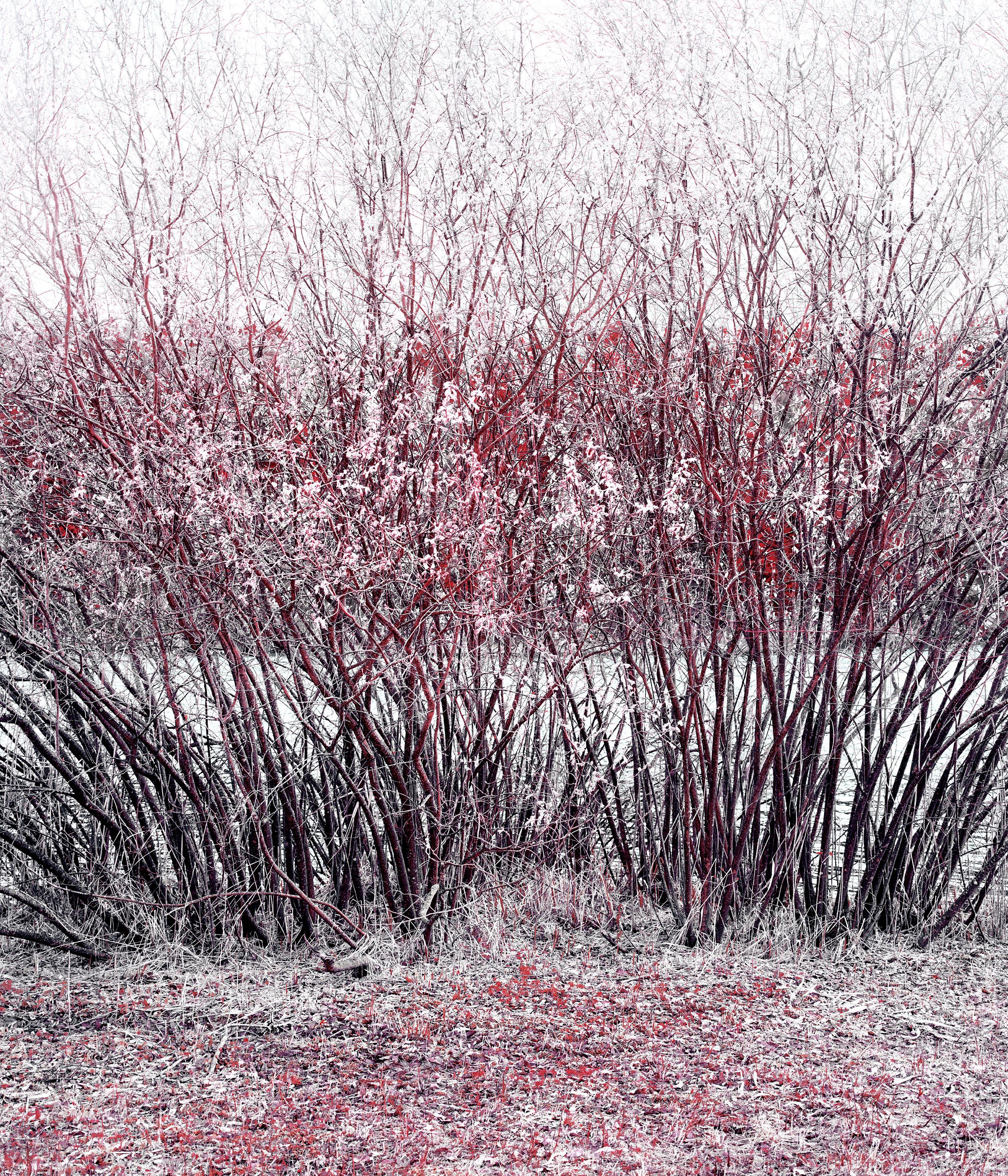 Zak van Biljon Landscape Photograph - Rothko 