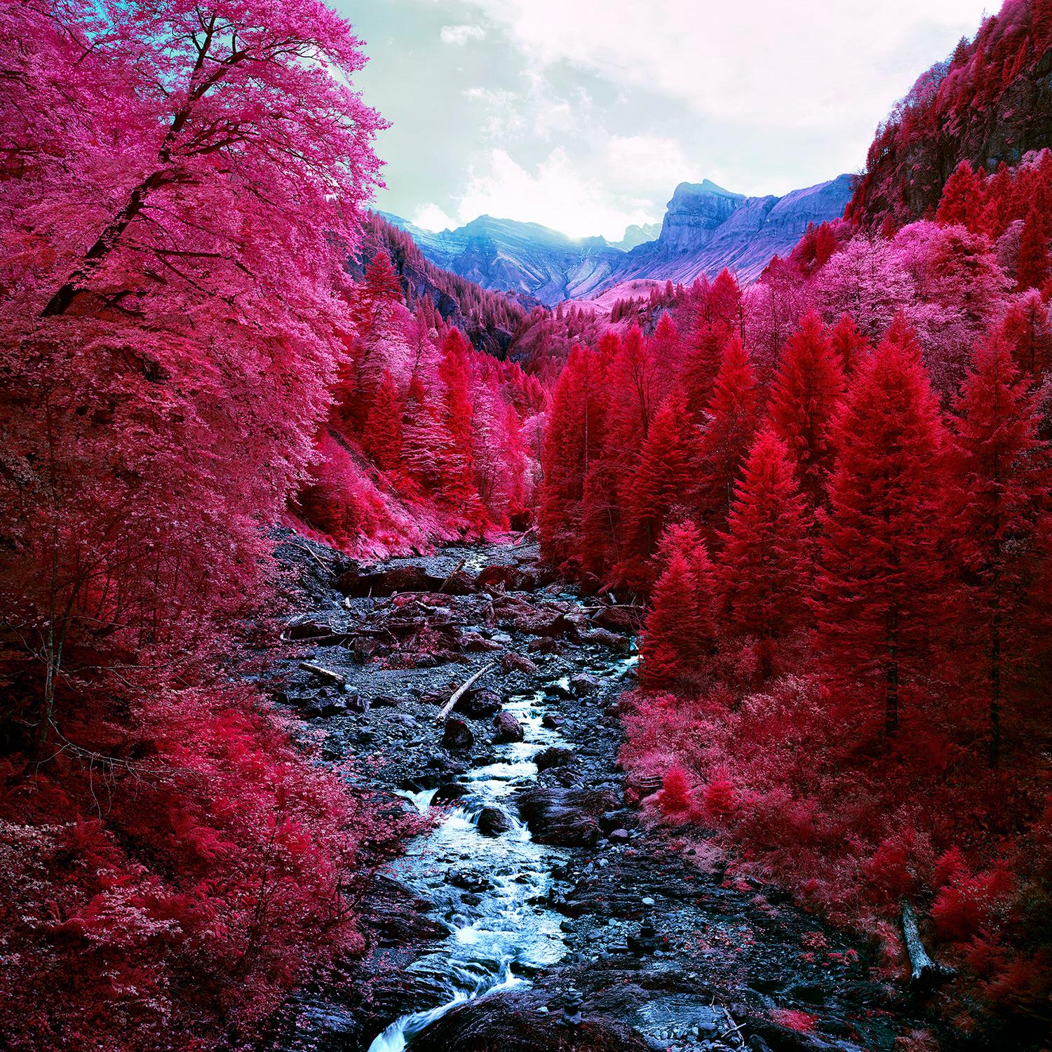 Zak van Biljon Landscape Photograph - Shil, Schwyz 