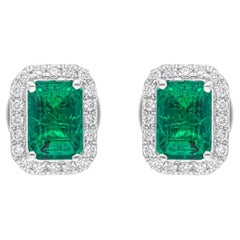 Orecchini con gemma di smeraldo dello Zambia SI/H Diamond Gioielli in oro bianco 14 carati