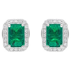 Sambische Smaragd-Edelstein-Ohrstecker SI/H Diamant 18 Karat Weißgold-Schmuck