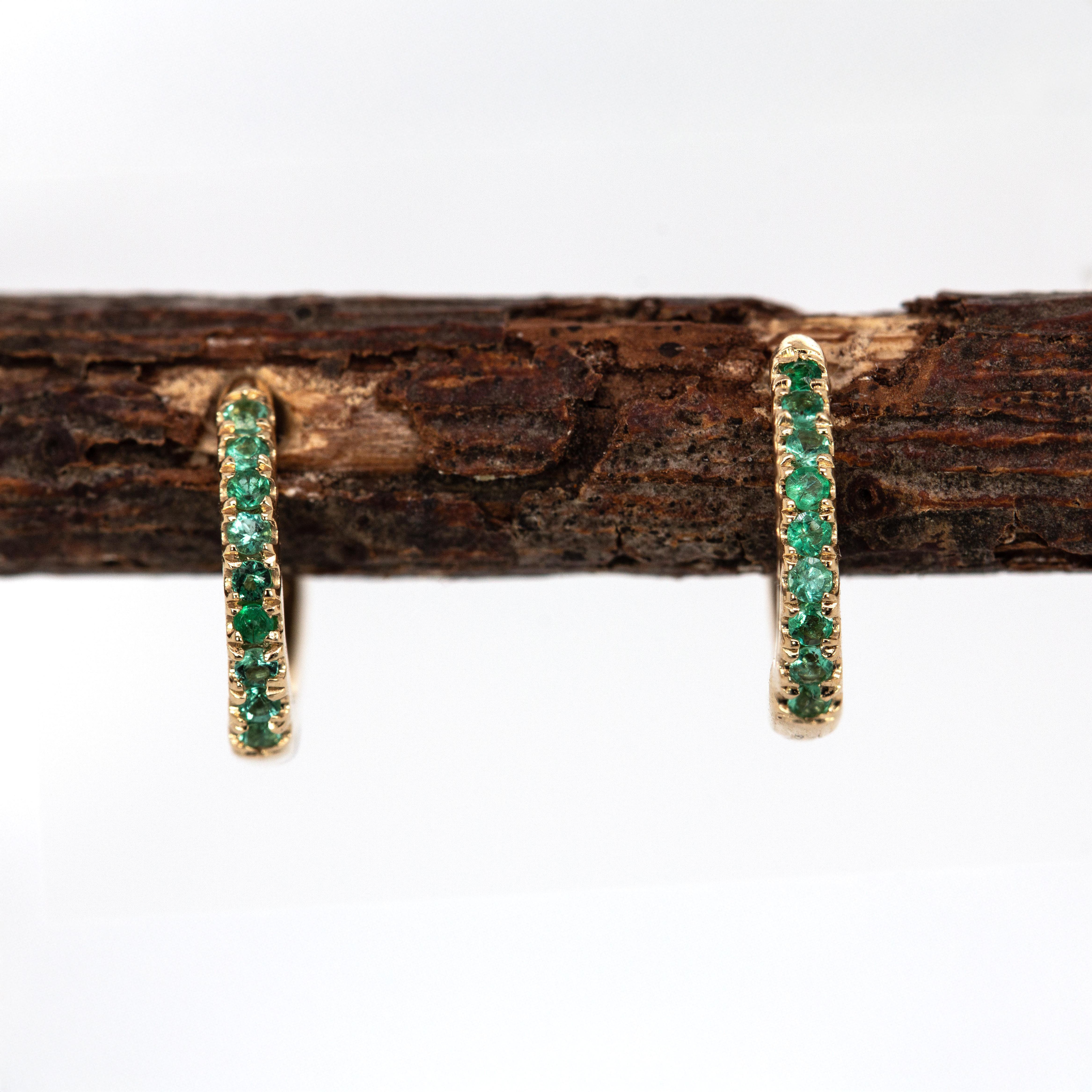 Zambian Emerald Huggies in Solid 14K Yellow Gold  RD 10mm  Latch Back (Rundschliff) im Angebot
