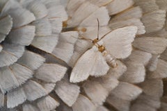 Arrangement XVII, Realist Oil Painting