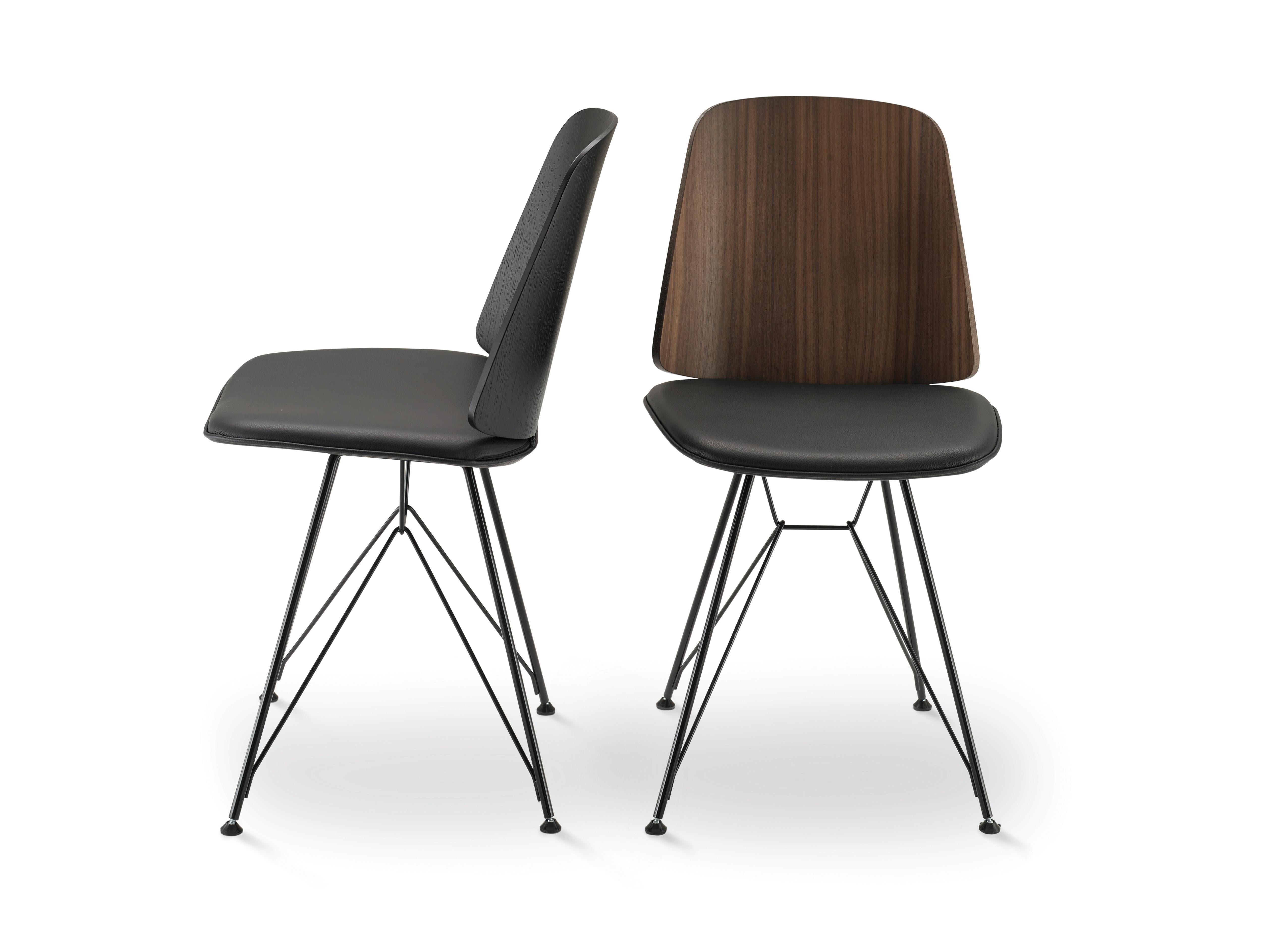 Zanotta 2056 June Chair in Upholstery and Black Backrest with Black Steel Frame by Frank Rettenbacher

Black or white painted steel legs. Nylon seat reinforced with glass fibre, with self-extinguishing polyurethane foam upholstery. Fixed internal