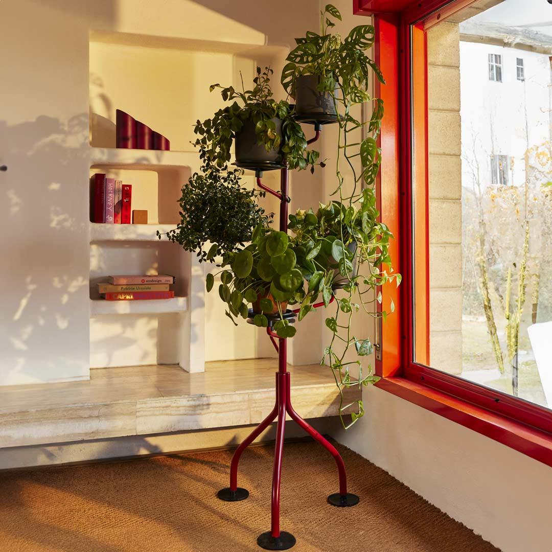 Drehbarer Blumentopfständer. Gestell aus lackiertem Stahl in den Farbtönen Talk, Amaranth, Grasgrün oder Schwarz. Topflappen aus schwarzem Polyamid. Füße aus schwarzem Polypropylen.
Es war 1983, als Achille Castiglioni sich eine subtile Präsenz